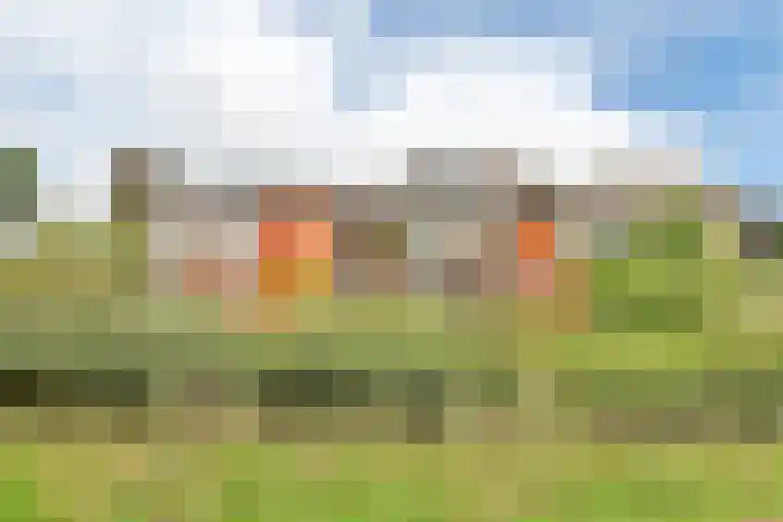Vuurboetsduin 3 Hoofddorp thumbnail 5