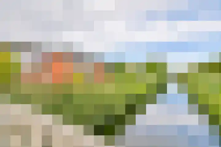 Vuurboetsduin 3 Hoofddorp thumbnail 6