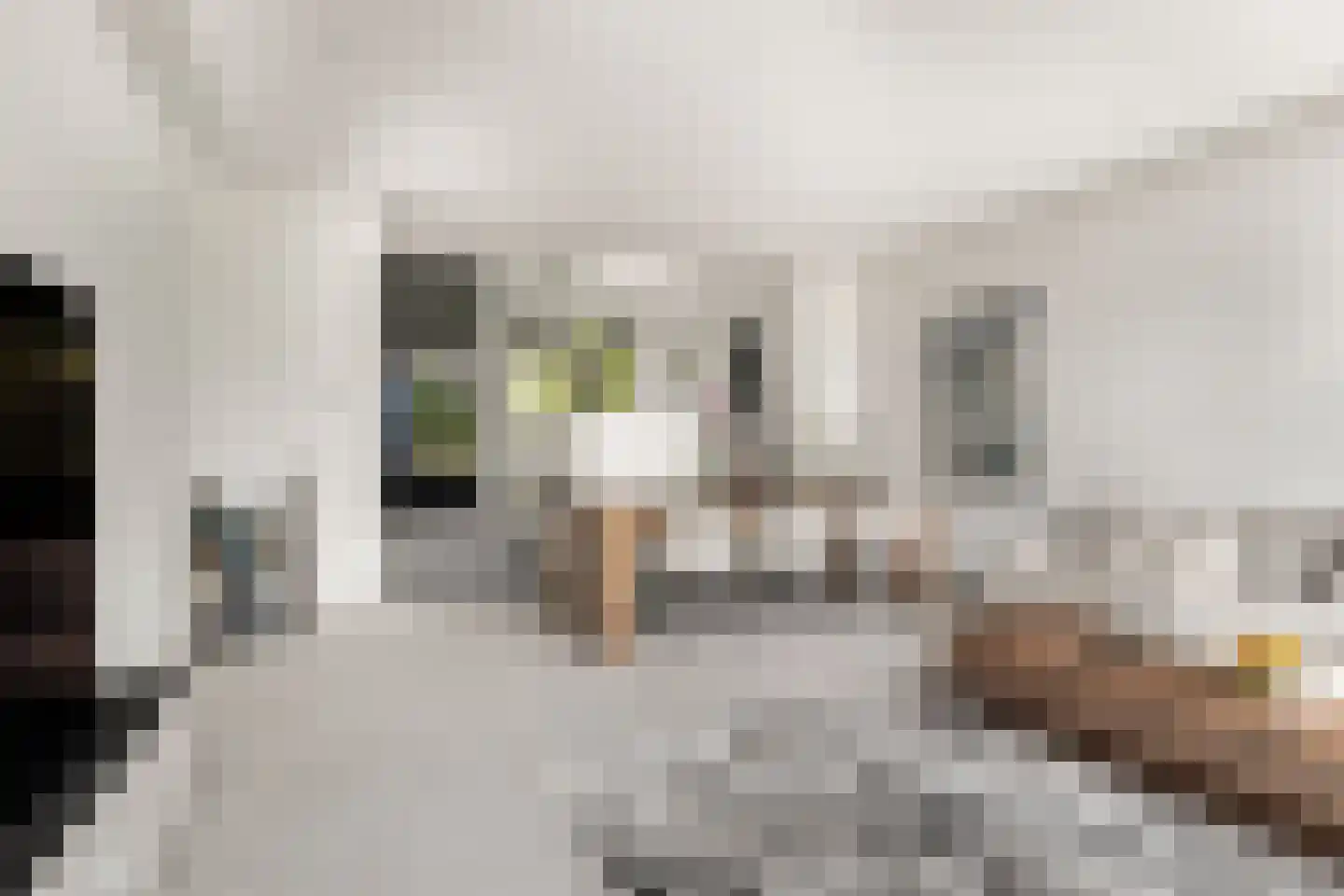 Vuurboetsduin 61 Hoofddorp thumbnail 25