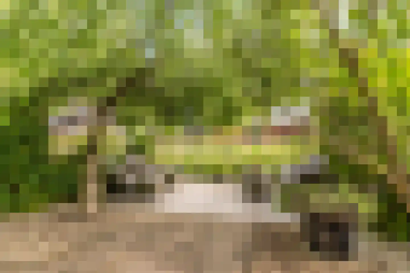 Vuurboetsduin 61 Hoofddorp thumbnail 30