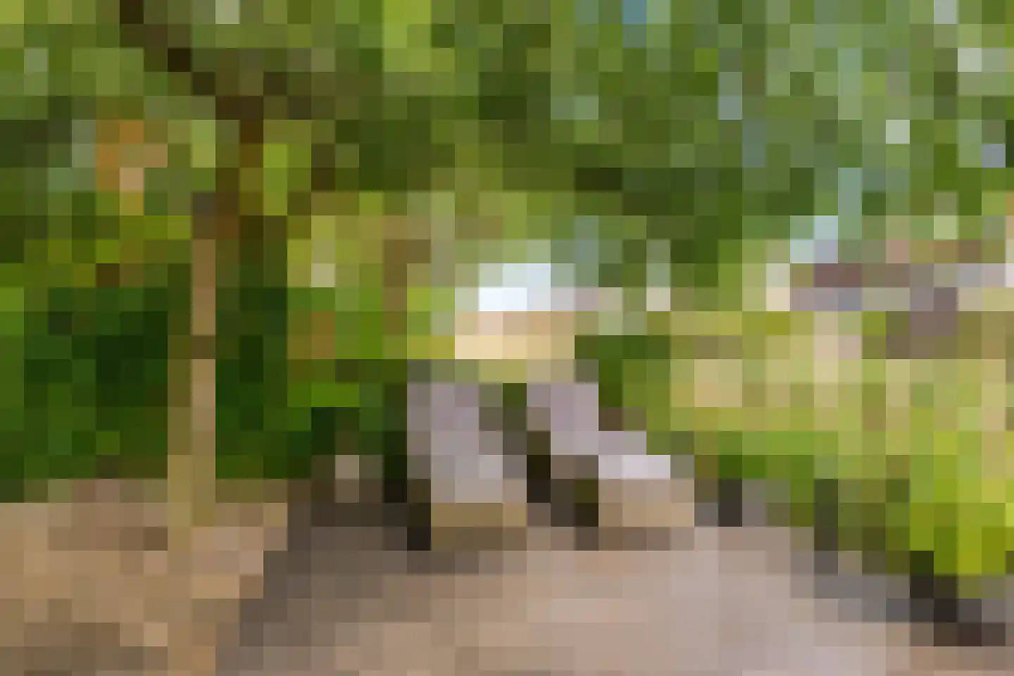 Vuurboetsduin 61 Hoofddorp thumbnail 31