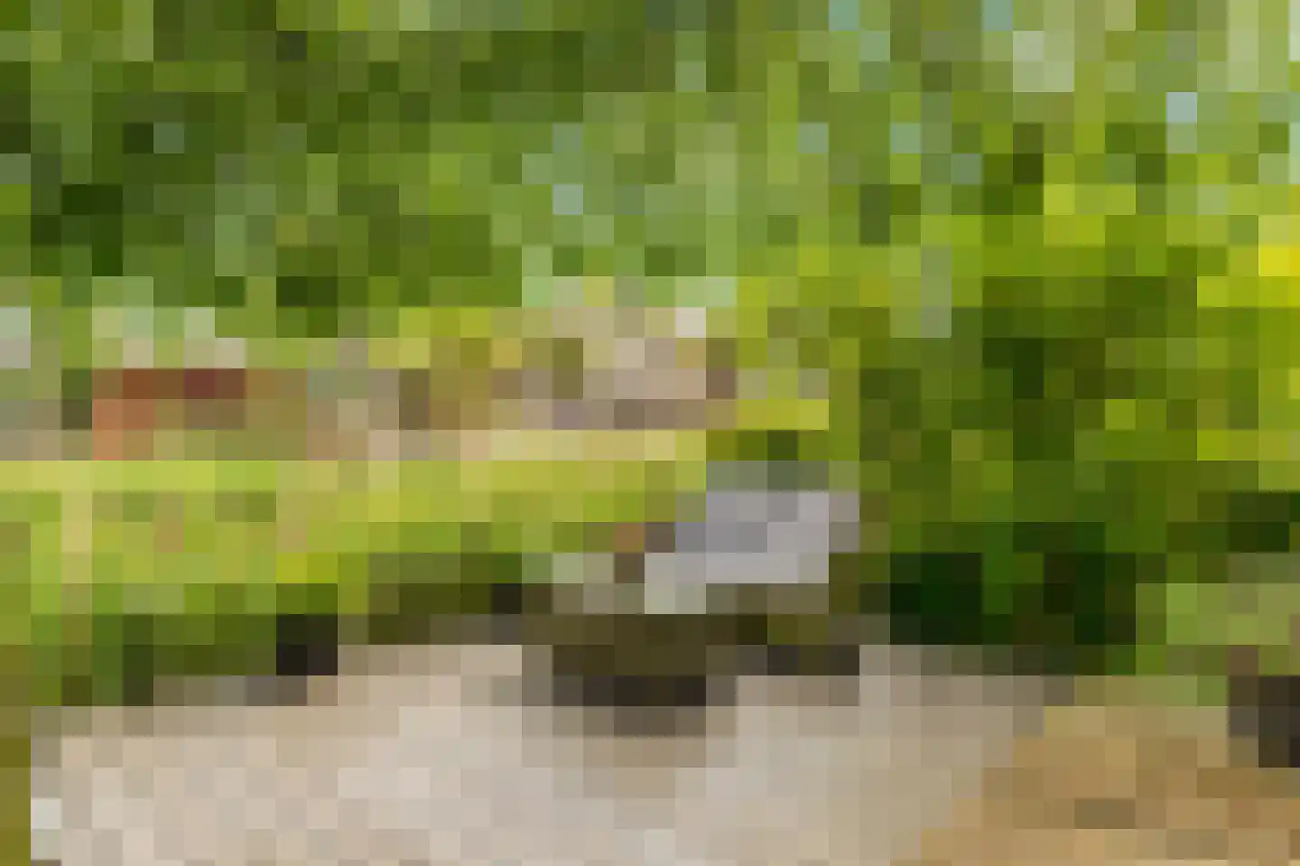 Vuurboetsduin 61 Hoofddorp thumbnail 32