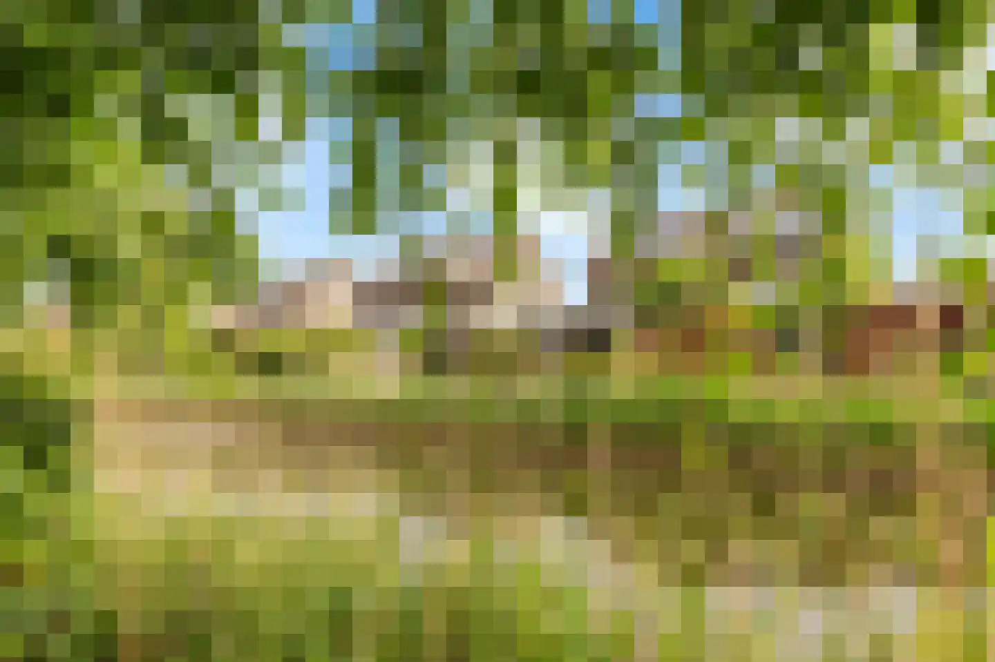 Vuurboetsduin 61 Hoofddorp thumbnail 33