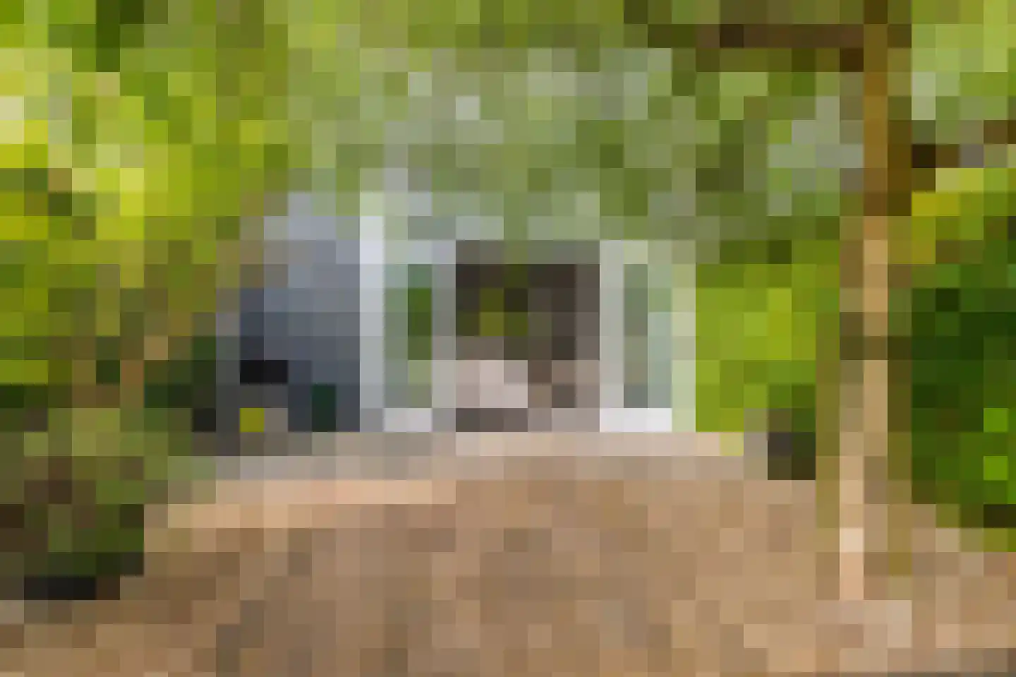 Vuurboetsduin 61 Hoofddorp thumbnail 34
