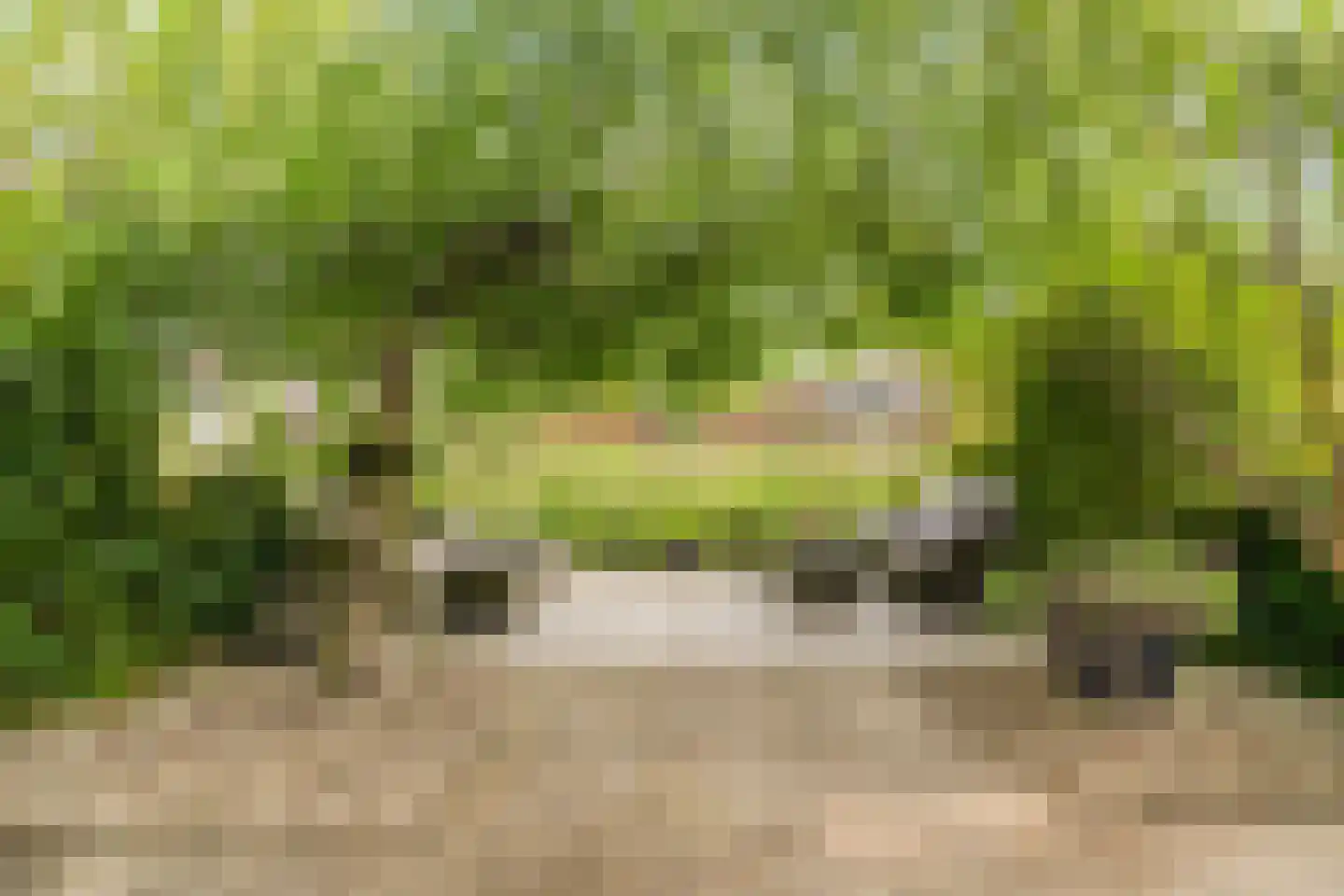 Vuurboetsduin 61 Hoofddorp thumbnail 6
