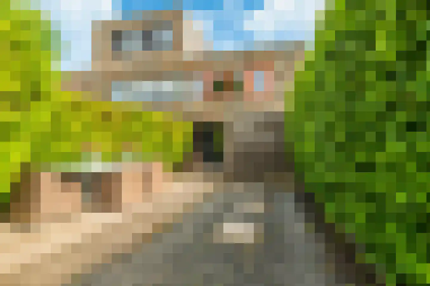 Vuurboetsduin 61 Hoofddorp thumbnail 8