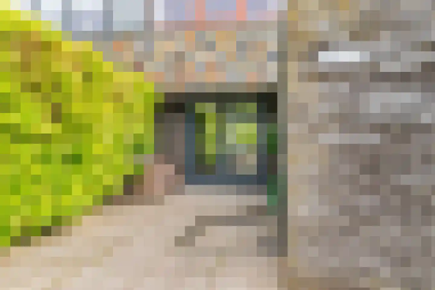 Vuurboetsduin 61 Hoofddorp thumbnail 9