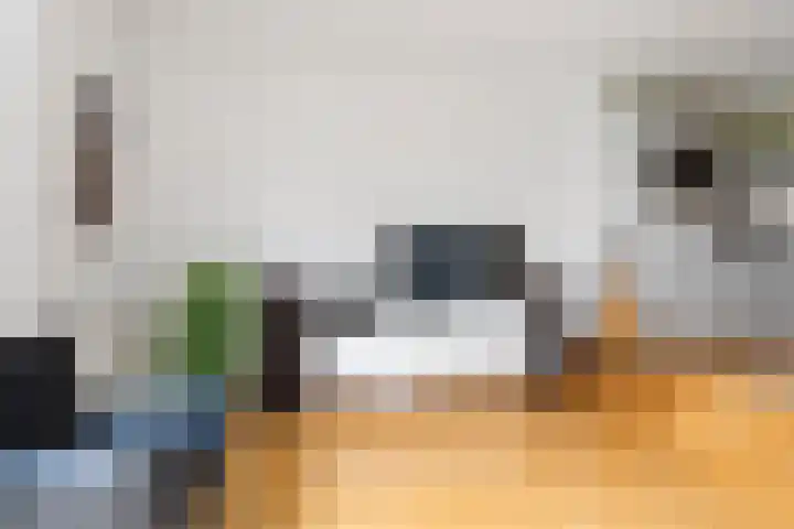 Vuurboetsduin 64 Hoofddorp thumbnail 10