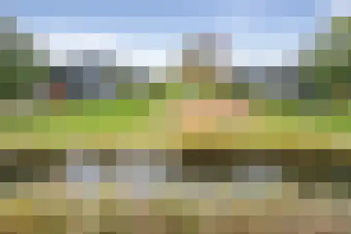 Vuurboetsduin 64 Hoofddorp thumbnail 23