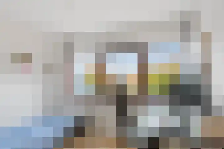 Vuurboetsduin 64 Hoofddorp thumbnail 27