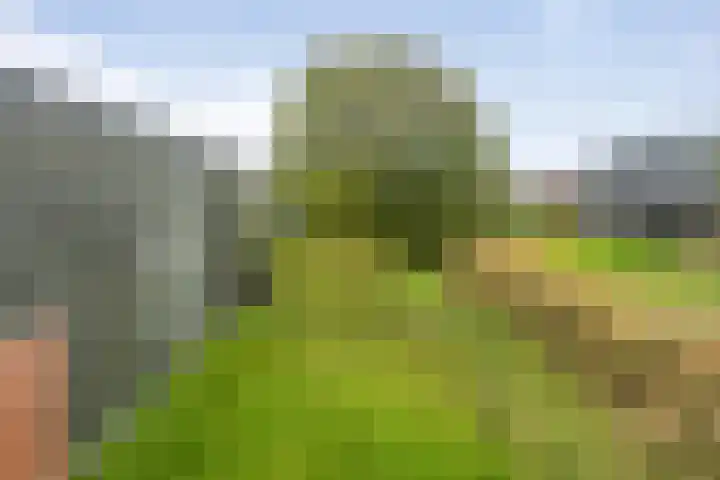 Vuurboetsduin 64 Hoofddorp thumbnail 33