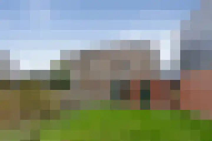 Vuurboetsduin 64 Hoofddorp thumbnail 40