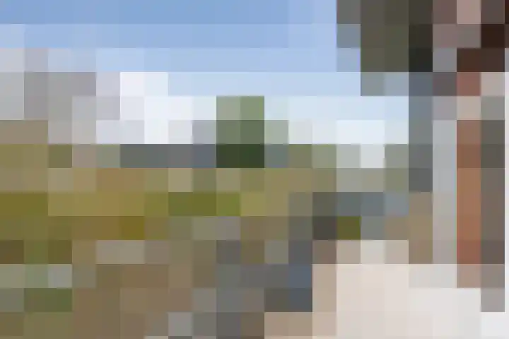 Vuurboetsduin 64 Hoofddorp thumbnail 42