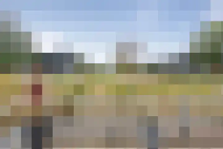 Vuurboetsduin 64 Hoofddorp thumbnail 8