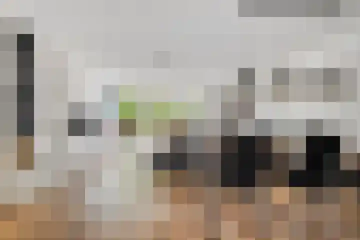 Vuurboetsduin 8 Hoofddorp thumbnail 14