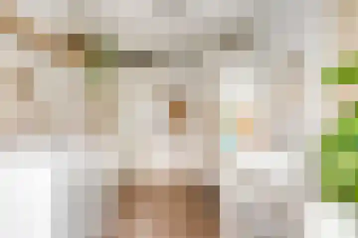 Vuurboetsduin 8 Hoofddorp thumbnail 23