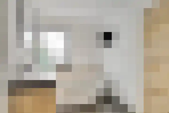 Vuurboetsduin 8 Hoofddorp thumbnail 27