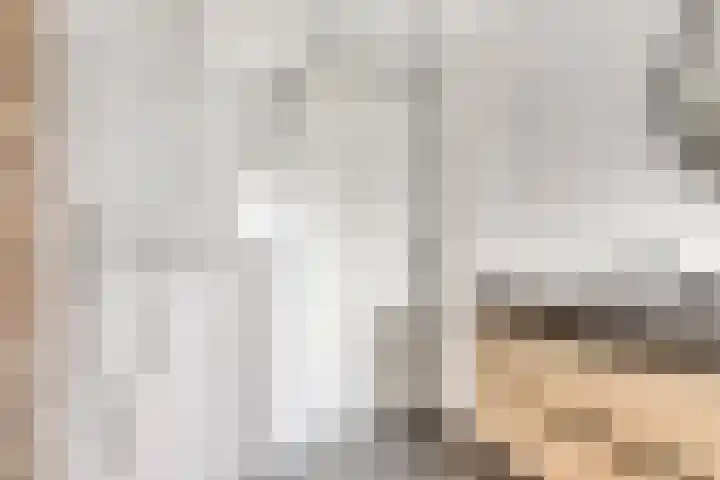 Vuurboetsduin 8 Hoofddorp thumbnail 28