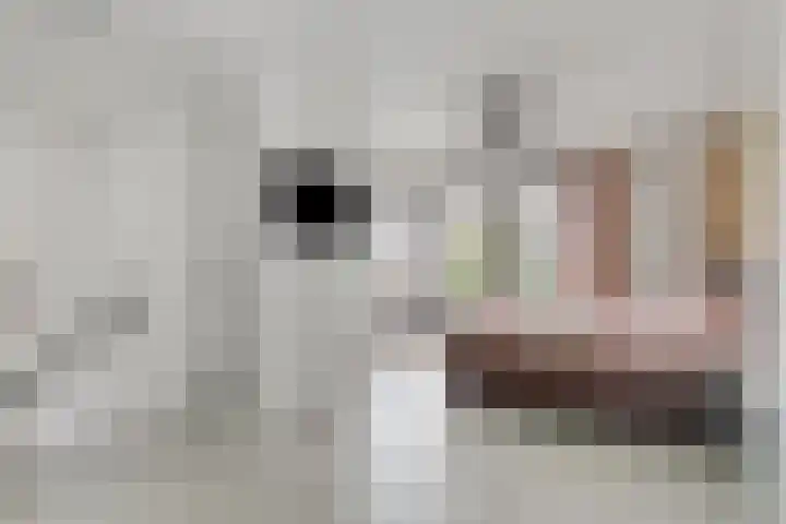 Vuurboetsduin 8 Hoofddorp thumbnail 29