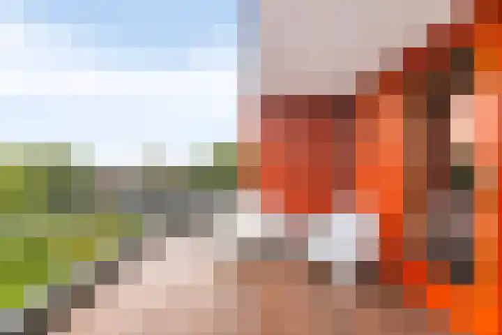 Vuurboetsduin 8 Hoofddorp thumbnail 35