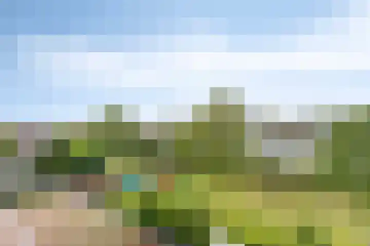 Vuurboetsduin 8 Hoofddorp thumbnail 37