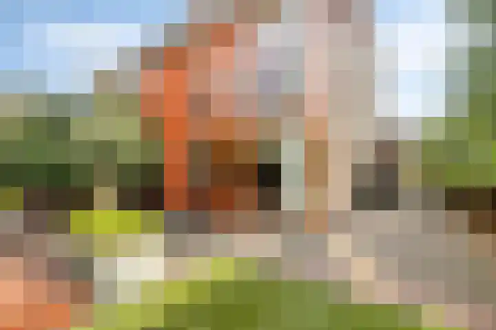 Vuurboetsduin 8 Hoofddorp thumbnail 38