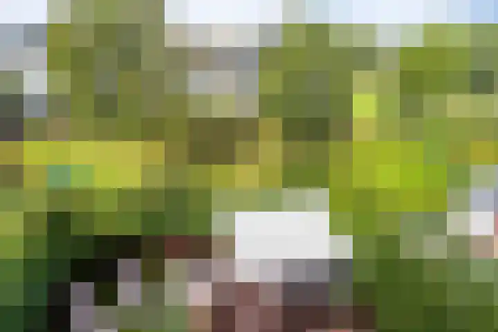 Vuurboetsduin 8 Hoofddorp thumbnail 39