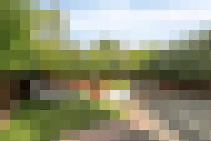 Vuurboetsduin 8 Hoofddorp thumbnail 43