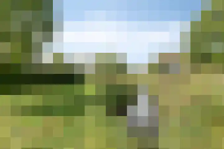 Vuurboetsduin 8 Hoofddorp thumbnail 47