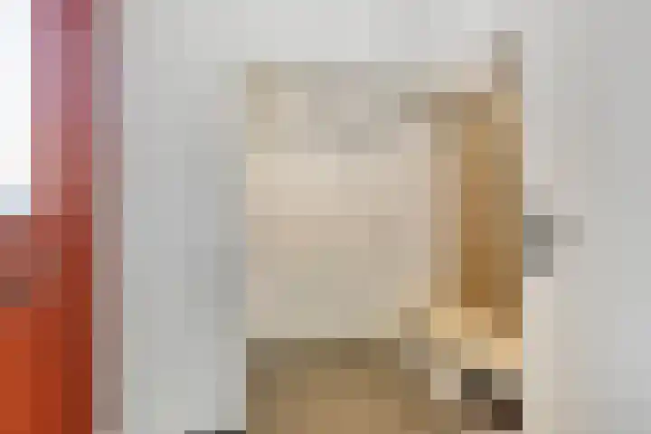 Vuurboetsduin 8 Hoofddorp thumbnail 7