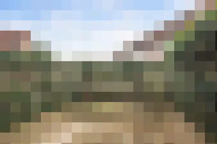 Vuurdans 98 Capelle aan den IJssel thumbnail 27