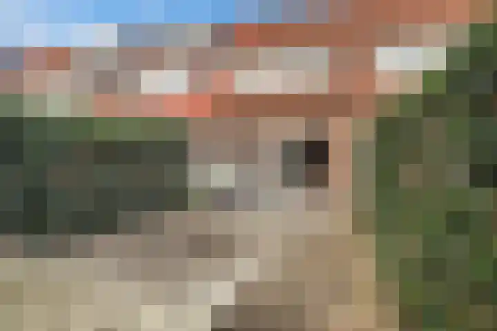 Vuurdans 98 Capelle aan den IJssel thumbnail 28