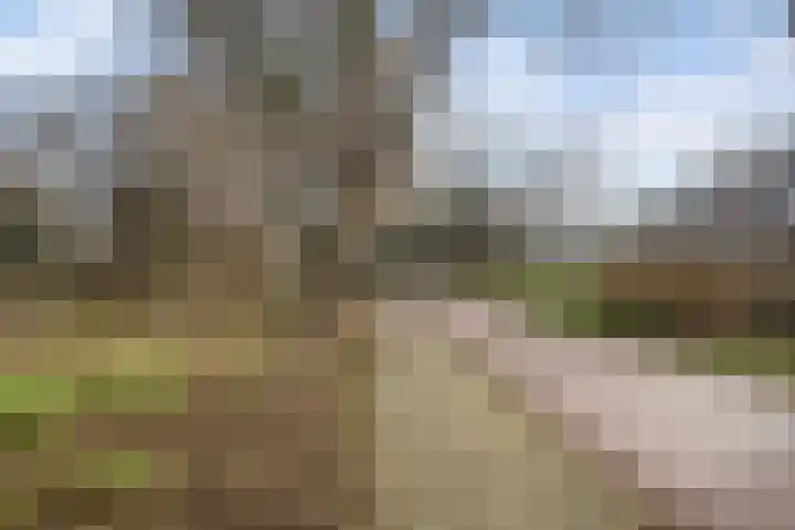 Vuurdans 98 Capelle aan den IJssel thumbnail 34