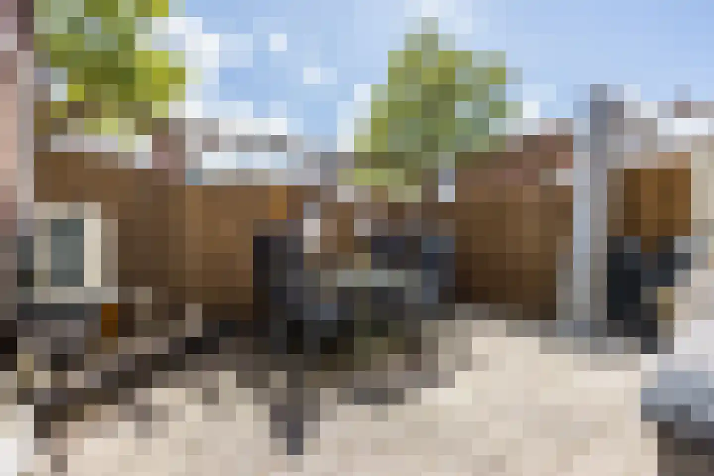 Vuurdoorn 1 Hellevoetsluis thumbnail 23
