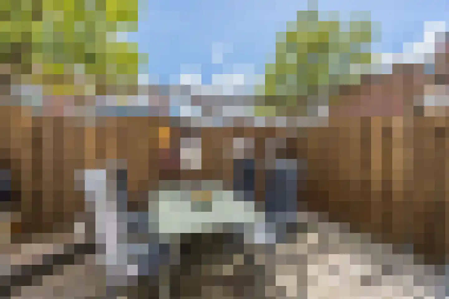 Vuurdoorn 1 Hellevoetsluis thumbnail 24