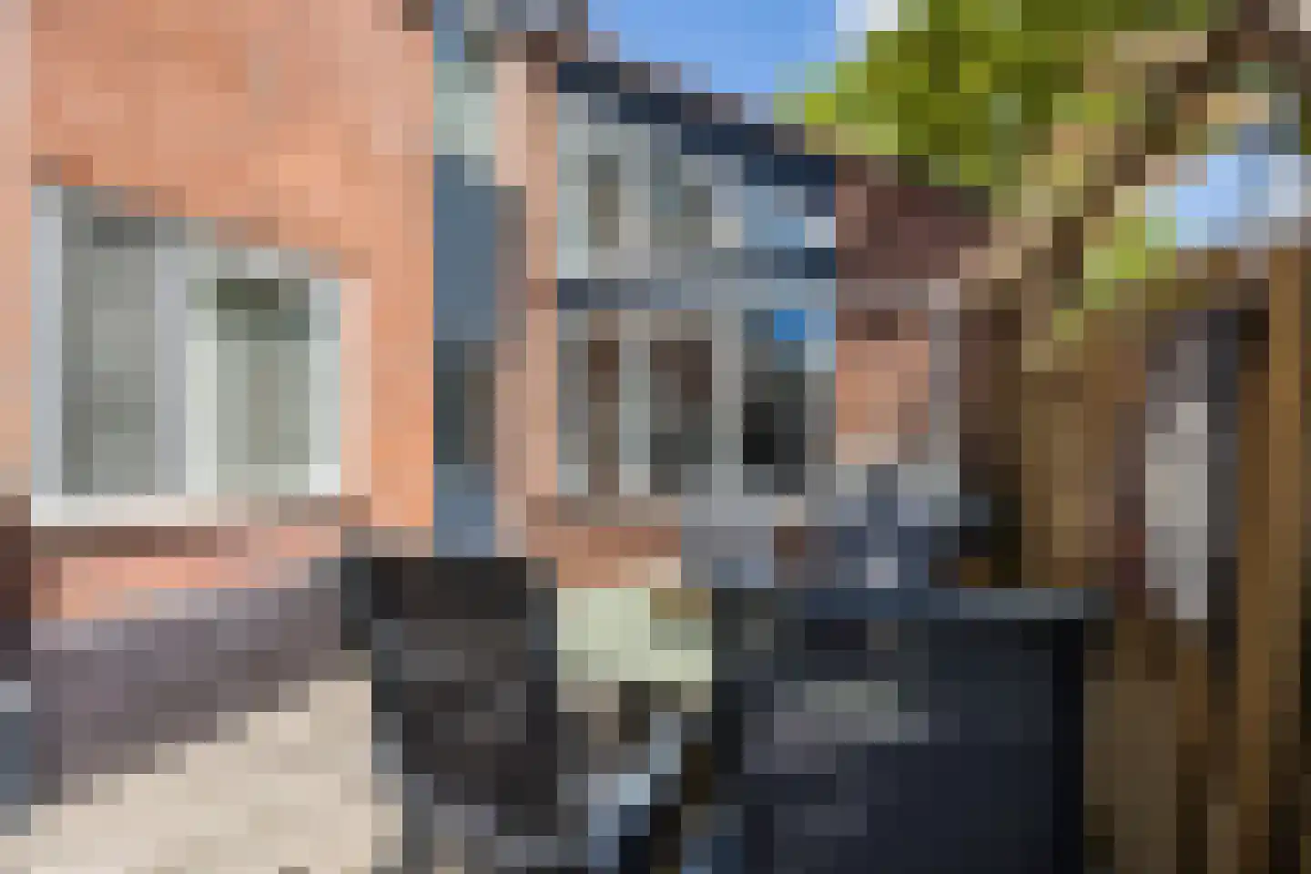 Vuurdoorn 1 Hellevoetsluis thumbnail 25