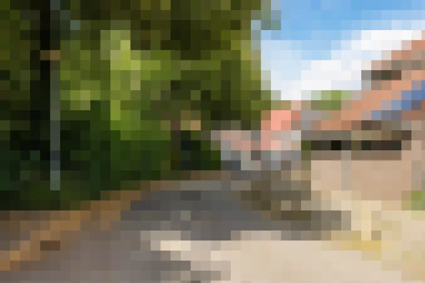 Vuurdoorn 1 Hellevoetsluis thumbnail 26