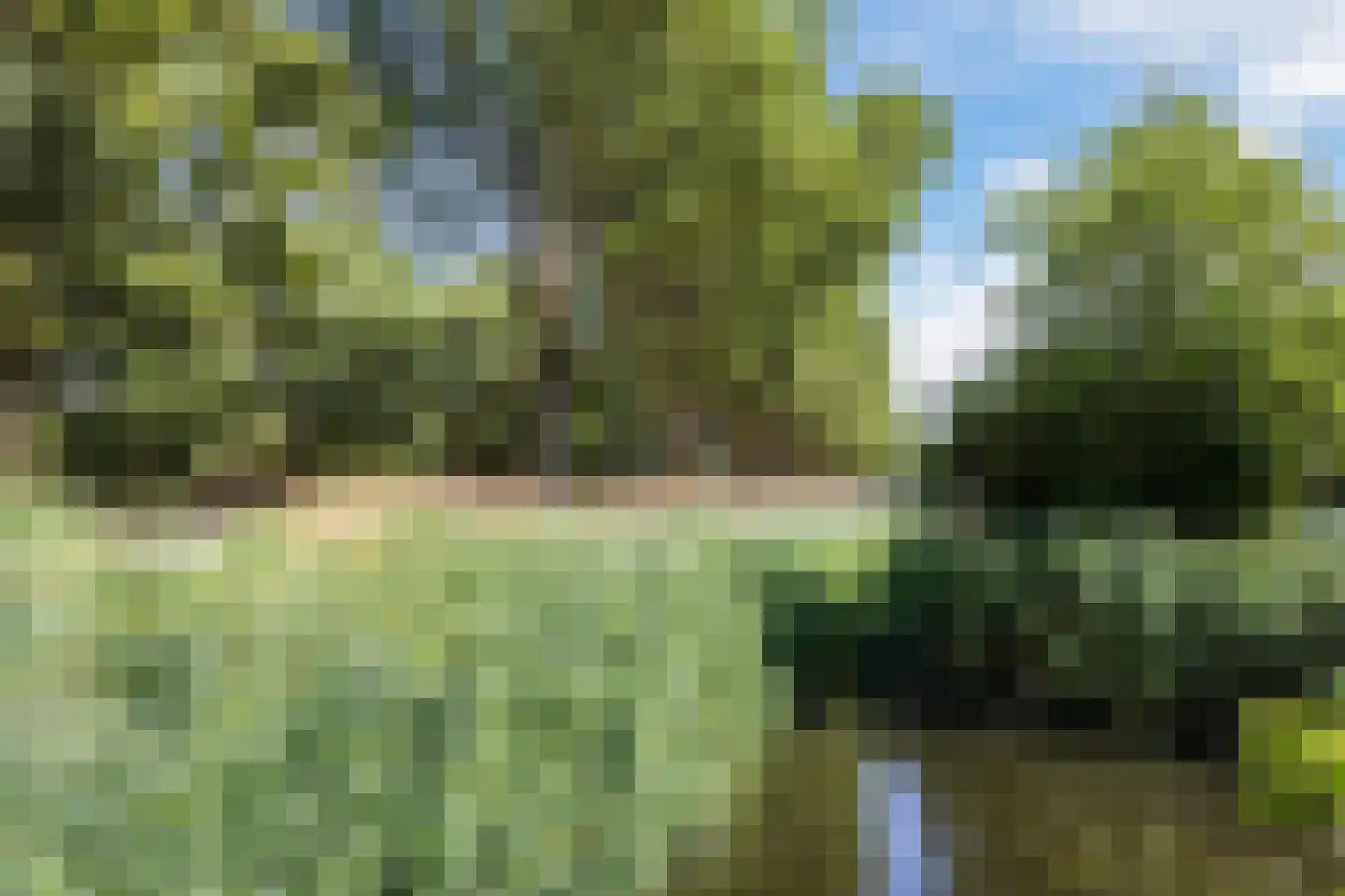 Vuurdoorn 1 Hellevoetsluis thumbnail 28