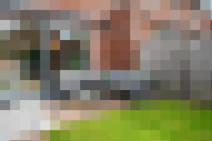 Vuurdoorn 19 Coevorden thumbnail 12