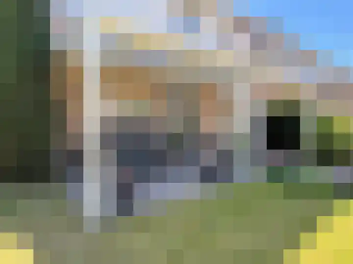 Vuurdoorn 19 Coevorden thumbnail 13