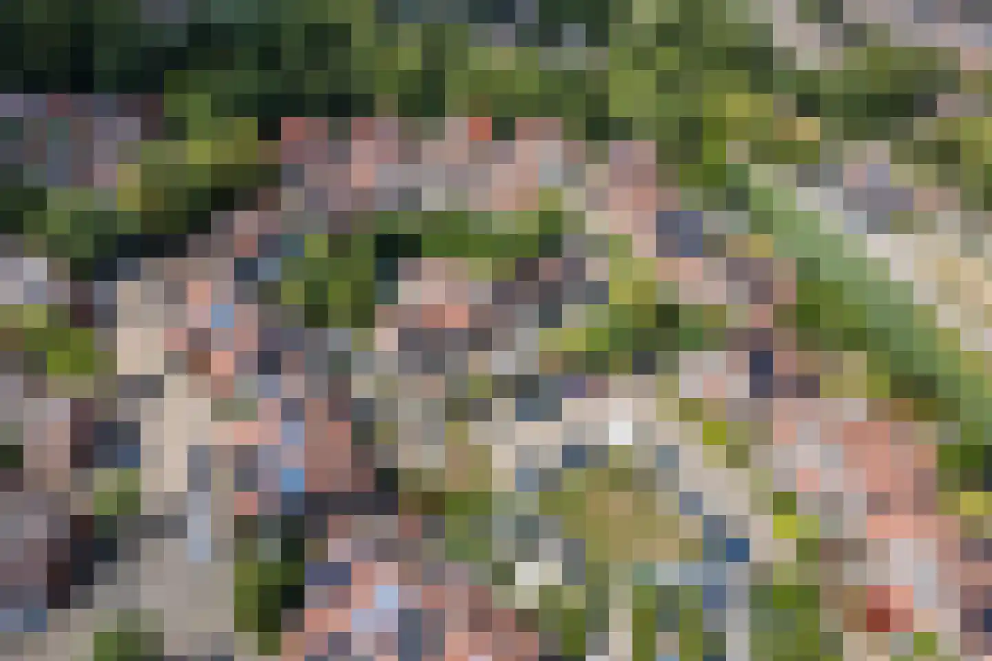 Vuurdoorn 34 Hellevoetsluis thumbnail 34