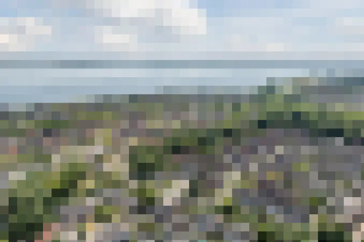 Vuurdoorn 34 Hellevoetsluis thumbnail 37