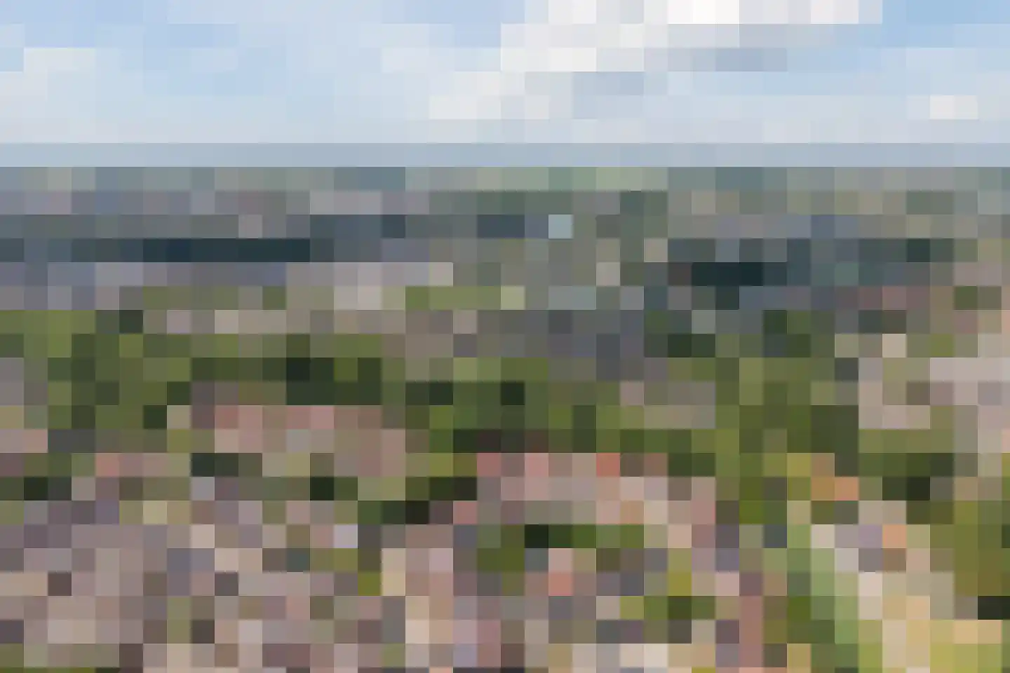 Vuurdoorn 34 Hellevoetsluis thumbnail 38