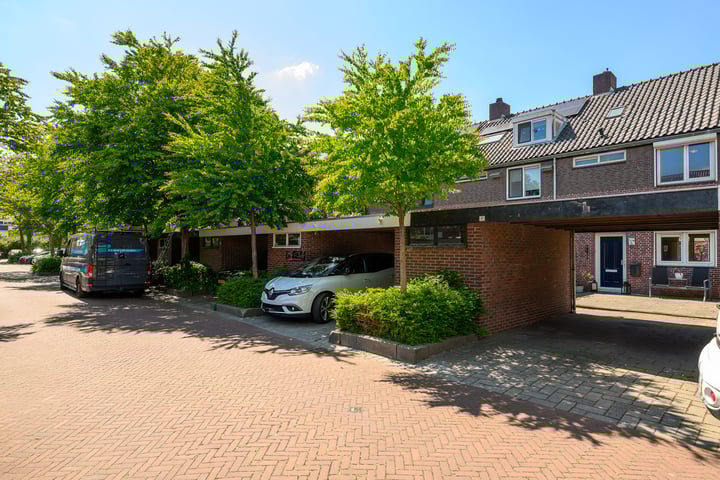 Vuurdoorn 41 en Naaldwijk foto