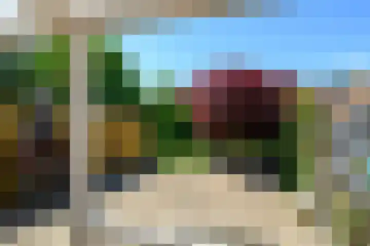 Vuurdoorn 41 Naaldwijk thumbnail 10