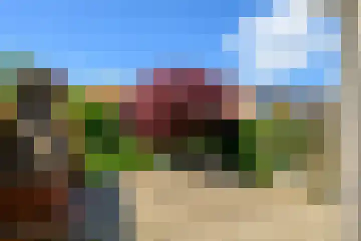 Vuurdoorn 41 Naaldwijk thumbnail 12