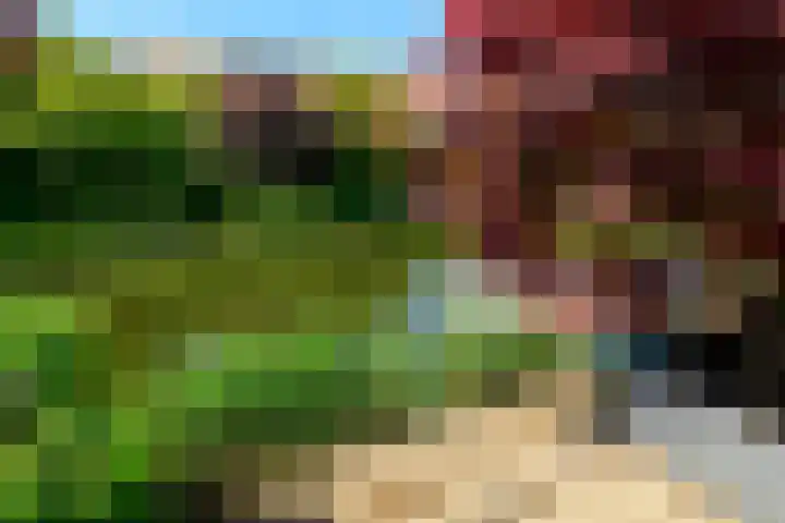 Vuurdoorn 41 Naaldwijk thumbnail 13