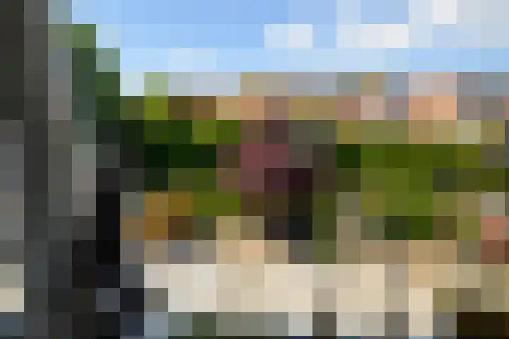 Vuurdoorn 41 Naaldwijk thumbnail 20