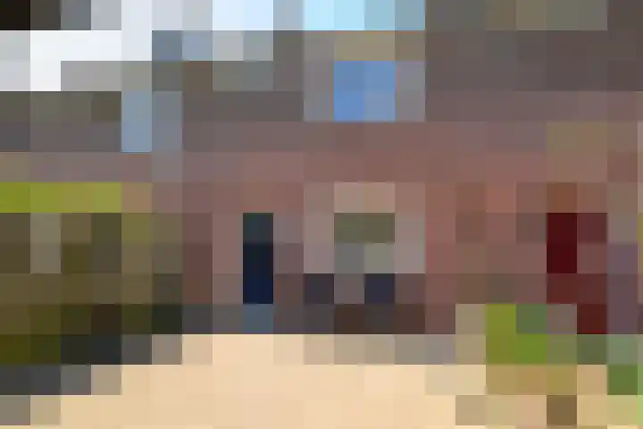 Vuurdoorn 41 Naaldwijk thumbnail 30