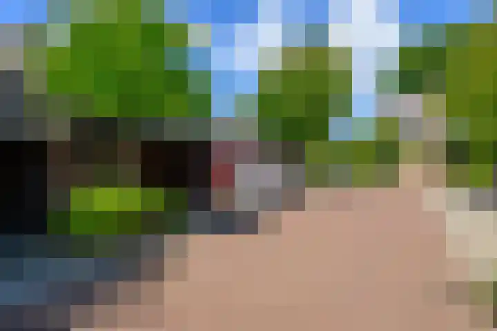 Vuurdoorn 41 Naaldwijk thumbnail 32